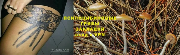 PSILOCYBIN Абинск