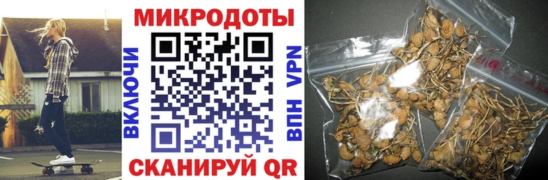 Псилоцибиновые грибы Psilocybe Ипатово